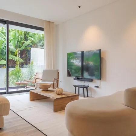 Need Center Apartment Funchal (Madeira)