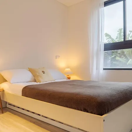Need Center Apartment