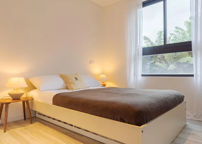 Need Center 丰沙尔