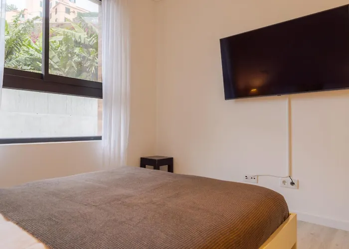 Apartament Need Center Funchal (Madeira)